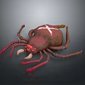 3D Spider Model With Red Legs White Cross On Brown Body And Red Eyes