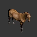 Brown Horse Game Character With Black Mane Tail Muscular Build 3D Rendered