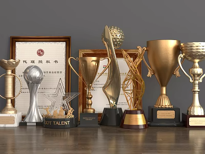 Different Trophies And Medals With Various Designs Gold Silver Metal Bases And Honor Certificates 3d model