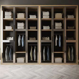 Furniture accessories wardrobe combination 3d model