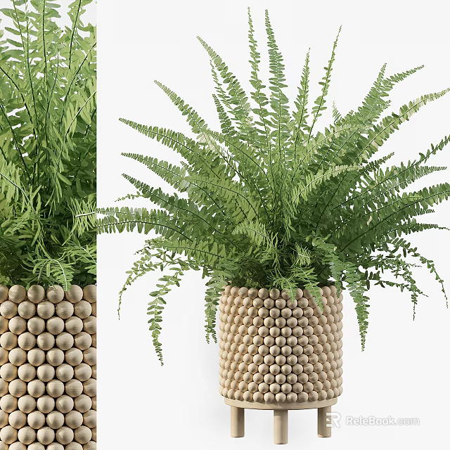 Potted Fern Plant with Lush Green Leaves and Wooden Bead Pattern Planter 3d model 