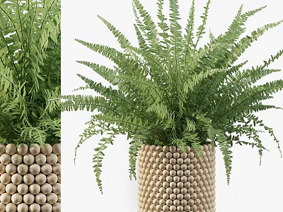 Potted Fern Plant with Lush Green Leaves and Wooden Bead Pattern Planter 3d model