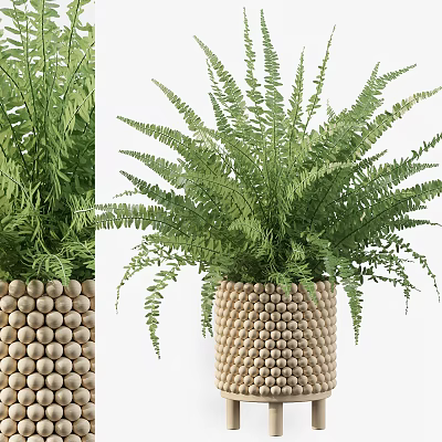 modern potted plant green plant potted plant 3d model modern potted plant green plant potted plant 3d model