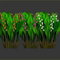 Clustered Lily of the Valley Plants with Green Leaves White Pink Flowers and Orange Blooms