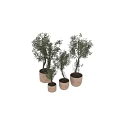 Decorative Ornament Set with Green Plants in Woven Pots of Various Sizes