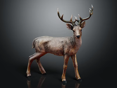 Deer With Large Antlers Standing On Black Background Showing Brown Fur 3d model