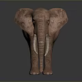 Exquisite Hand Carved Elephant Sculpture Featuring Intricate Details and Artistic Design