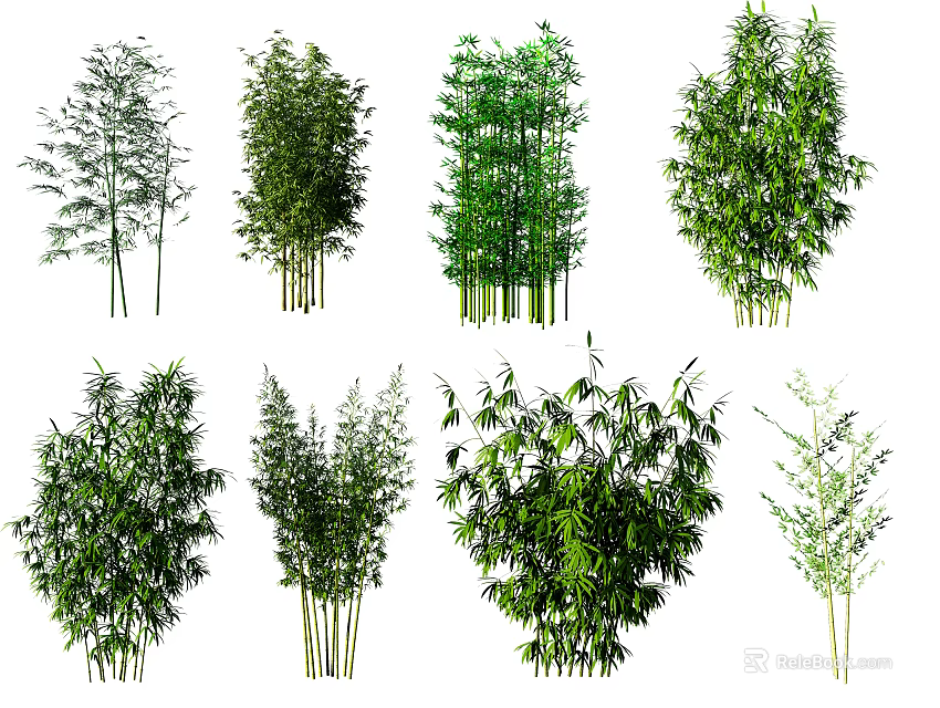 Various Types Of Bamboo Plants With Diverse Leaf Shapes And Heights 3d model 