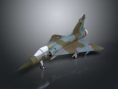 Detailed Military Aircraft Model With Camouflage Paint Pointed Nose Tail Fin And Landing Gear 3d model