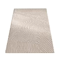 Modern styling carpet 3d model