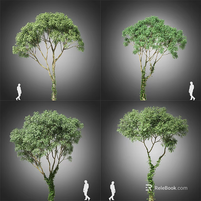 Lush Arbor With Ivy Covered Trunk And Human Figure For Scale In Multiple Views 3d model 