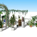 Decorative Potted Plants With Vine Arch And Various Green Plant Arrangements