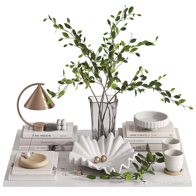 Decorative Ornament Combination With Green Plant Table Lamp Books Vase And Plates 3d model 