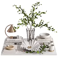 Decorative Ornament Combination With Green Plant Table Lamp Books Vase And Plates