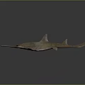 Sawfish With Long Serrated Rostrum And Streamlined Grayish Brown Body On Dark Reflective Background