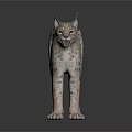 Realistic Lynx Figure With Spotted Fur And Pointed Ears Standing On Dark Surface