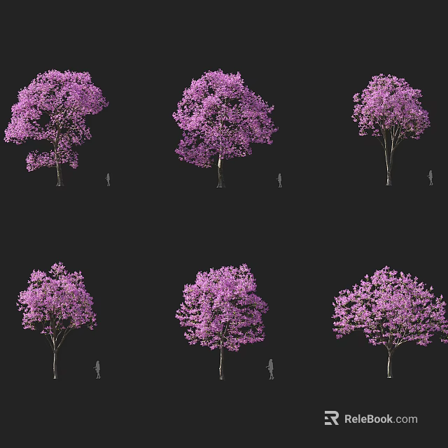 Stunning Purple Flowering Trees with Different Shapes and Lush Purple Blooms 3d model 