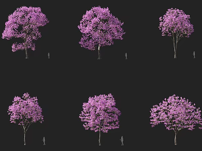 Stunning Purple Flowering Trees with Different Shapes and Lush Purple Blooms 3d model