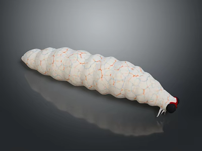 White Caterpillar With Orange Vein Like Patterns Red Head And White Antennae 3d model