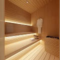 Modern Sauna Room 3d model