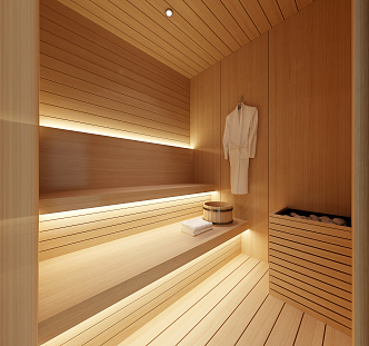 Modern Sauna Room 3d model