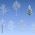 Diverse Winter Plants White Silhouette Collection With Trees Shrubs And Pine On Black Background