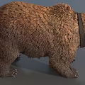 Brown Bear Wearing Collar Standing On Gray Surface In Studio