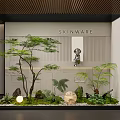 Lush Indoor Landscape Interior With Leafy Tree Ferns Stones Moss And Decorative Light