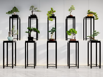 Modern Black Metal Flower Stands With Various Potted Plants In Indoor Row Arrangement 3d model