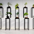 Modern Black Metal Flower Stands With Various Potted Plants In Indoor Row Arrangement
