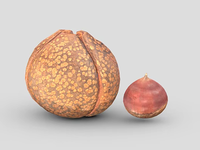 Two Different Size Fruits Featuring Brown Spotted Skin and Smooth Red Surface 3d model