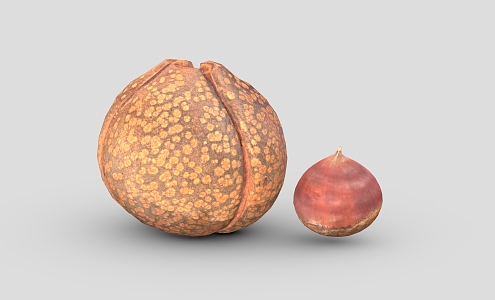 Chestnut Low Poly Chestnut Cartoon Chestnut Cartoon Chestnut Dried Fruit 3d model