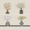 Decorative Vases With White Flowers On Shelves Various Design Styles
