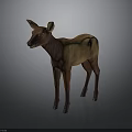 Brown and Light Brown Fawn Standing on Gray Background 3D Rendering Model