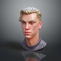 Man 3D Model Head With Blonde Hair Green Eyes Gray Turtleneck Dark Background And Reflection 3d model