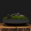 Natural Moss With Stones In Black Container On Wooden Stump