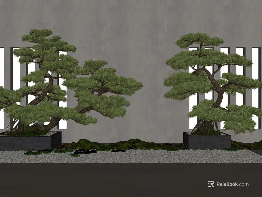 Decorative Bonsai Trees in Black Square Pots with Gray Wall and White Vertical Windows 3d model 