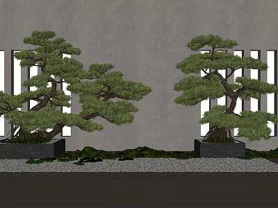 Decorative Bonsai Trees in Black Square Pots with Gray Wall and White Vertical Windows 3d model