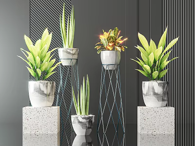 Green Bonsai Plants In Marble Pots On Metal Stands And Concrete Bases 3d model
