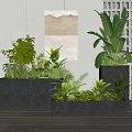 Indoor Decorative Potted Plants In Black Rectangular Planters With Green Foliage And Wall Art