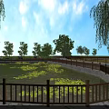 Scenic View of Pond with Lotus Leaves Wooden Railing and Weeping Willows Under Blue Sky