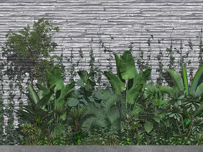 Shrubs In Front Of Stone Wall With Various Green Plants And Large Leaves 3d model