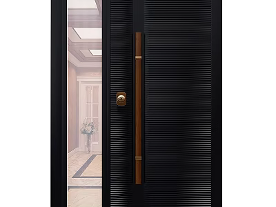 Black Modern Door With Vertical Stripes Glass Panel And Brass Handle 3d model