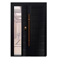 Black Modern Door With Vertical Stripes Glass Panel And Brass Handle 3d model