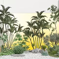 Tropical Plant Combination With Palm Trees Various Greenery Stones And Pebble Path