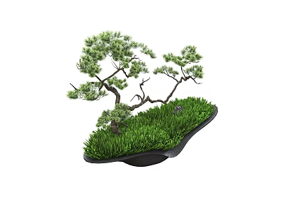 potted plant bonsai pine tree green plant welcome pine 3d model