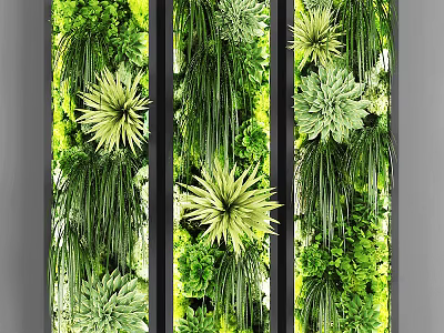 Vertical Indoor Green Plant Wall With Various Lush Plants And Black Frames 3d model