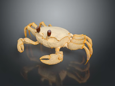Golden Crab with Red Eyes and Detailed Claws on Dark Reflective Surface 3d model