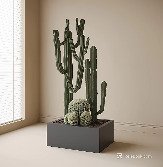 Potted Cactus Plant In Gray Square Pot With Tall Columnar And Round Cacti By Window 3d model 
