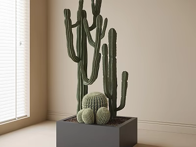 Potted Cactus Plant In Gray Square Pot With Tall Columnar And Round Cacti By Window 3d model